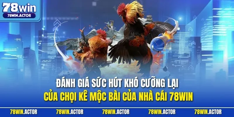 Đánh giá sức hút khó cưỡng lại của chọi kê Mộc Bài của nhà cái 78WIN